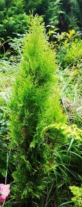 IMG_20220929_163931.jpg
