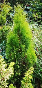 IMG_20220929_163839.jpg