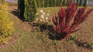 P_20220904_133236.jpg