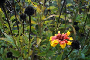 DSC04707.JPG