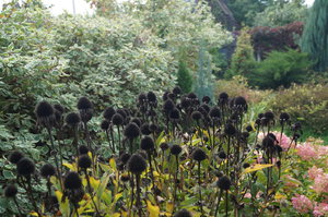 DSC04711.JPG