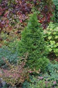 DSC04714.JPG