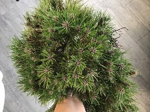 722ACEE4-E13D-4597-AB75-BD6879DA7F68.jpeg