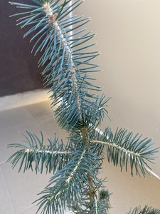 F40AAF1E-0837-47CE-AF2D-D7DCB3E8778F.jpeg