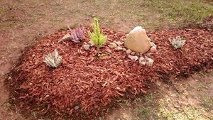 P_20221009_145606_1.jpg