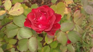 P_20221022_145921.jpg