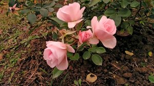 P_20221022_150220_1.jpg