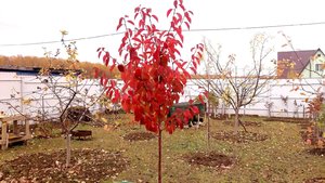P_20221022_150421_1.jpg