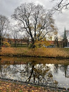 рига 26,10,22-2.jpg