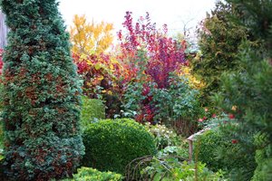 IMG_4519.JPG