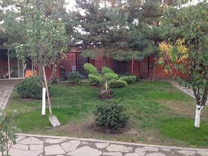 916CE9C0-7EF5-4E79-B316-AEBC76345E70.jpeg