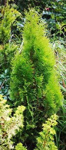 IMG_20221130_180610.jpg