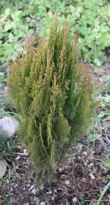 IMG_20221130_180449.jpg