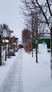 D2962007-6968-4180-8231-CF17CC0199D5.jpeg