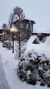 84733DB6-82B8-40A3-8EA7-EDE39300FE01.jpeg