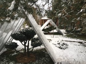 6F406065-FB97-4418-9192-E426341E37BA.jpeg