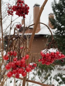 7476173A-07DC-4F0F-AE7A-E5716F460A46.jpeg