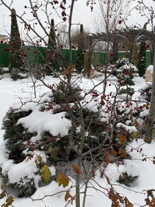 BABC8F9F-6065-4D7D-B660-87073046DA71.jpeg