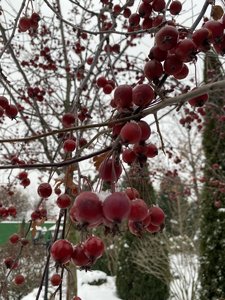 59E6E917-B5FC-4AEC-BE8D-2B3ADF8BC214.jpeg