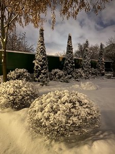 11E57B1A-40C5-4AEB-A666-361AD3402F26.jpeg