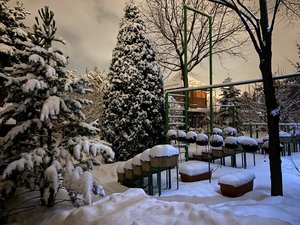 7C2B8C0B-5535-430A-B424-484FF05DF70F.jpeg
