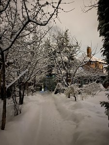 2EB40614-0F99-40F5-9144-150F15A22251.jpeg
