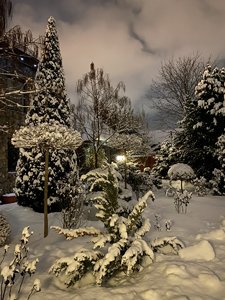 CA86DEA9-0978-4CF2-98DC-212D0081B232.jpeg
