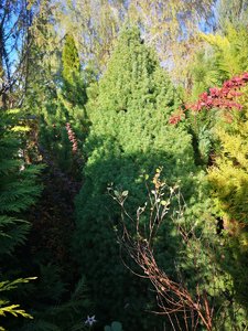 IMG_20221013_143519.jpg