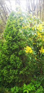 IMG_20221217_015550.jpg