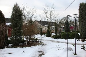 IMG_5059.JPG
