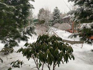 BB92527C-9D0F-41DE-A54A-AE142215A9F8.jpeg