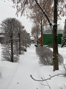 AD02363A-F9DE-4814-9259-8E0849EDDAE0.jpeg