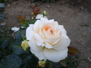 2022-05-30 07.35.46.jpg