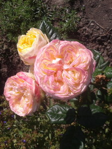 2022-06-08 08.37.55.jpg
