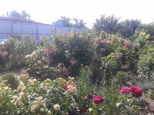 2022-06-08 08.35.46.jpg