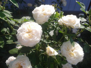2022-06-08 08.40.41.jpg