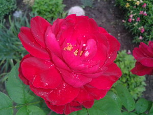 2021-08-20 09.44.06.jpg