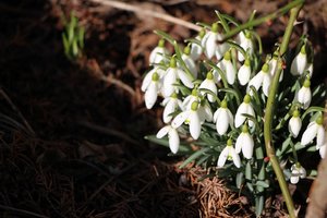 IMG_5103.JPG