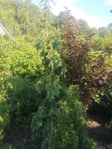 04.07.22-8.jpg