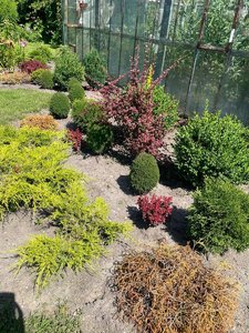 20.07.22-6.jpg