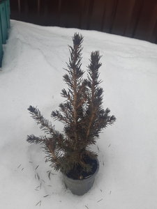 20230315_132921.jpg