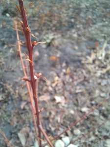 20230315_122255.jpg