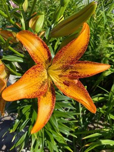 IMG_20230316_065214.jpg