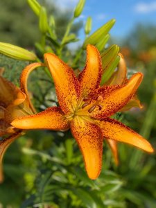 IMG_20230316_065334.jpg