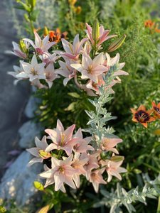 IMG_20230316_065903.jpg