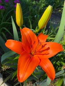 IMG_20230316_065250.jpg