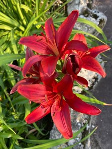 IMG_20230316_065850.jpg