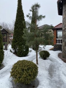 FF3DFD6D-854C-450B-9208-9D9EB8B8CB69.jpeg