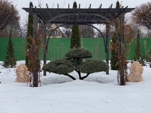 20D20135-D7C7-4CF0-96F3-B0F09BDB466E.jpeg