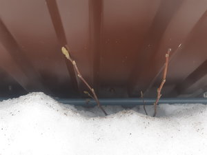 20230316_161059.jpg